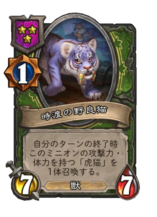 時渡の野良猫